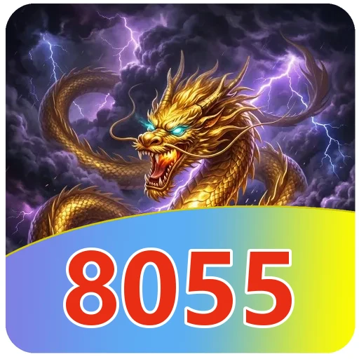 Gangguan pada 8055